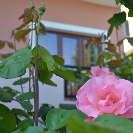 Melina'S House Aparthotel Stalos Bagian luar foto